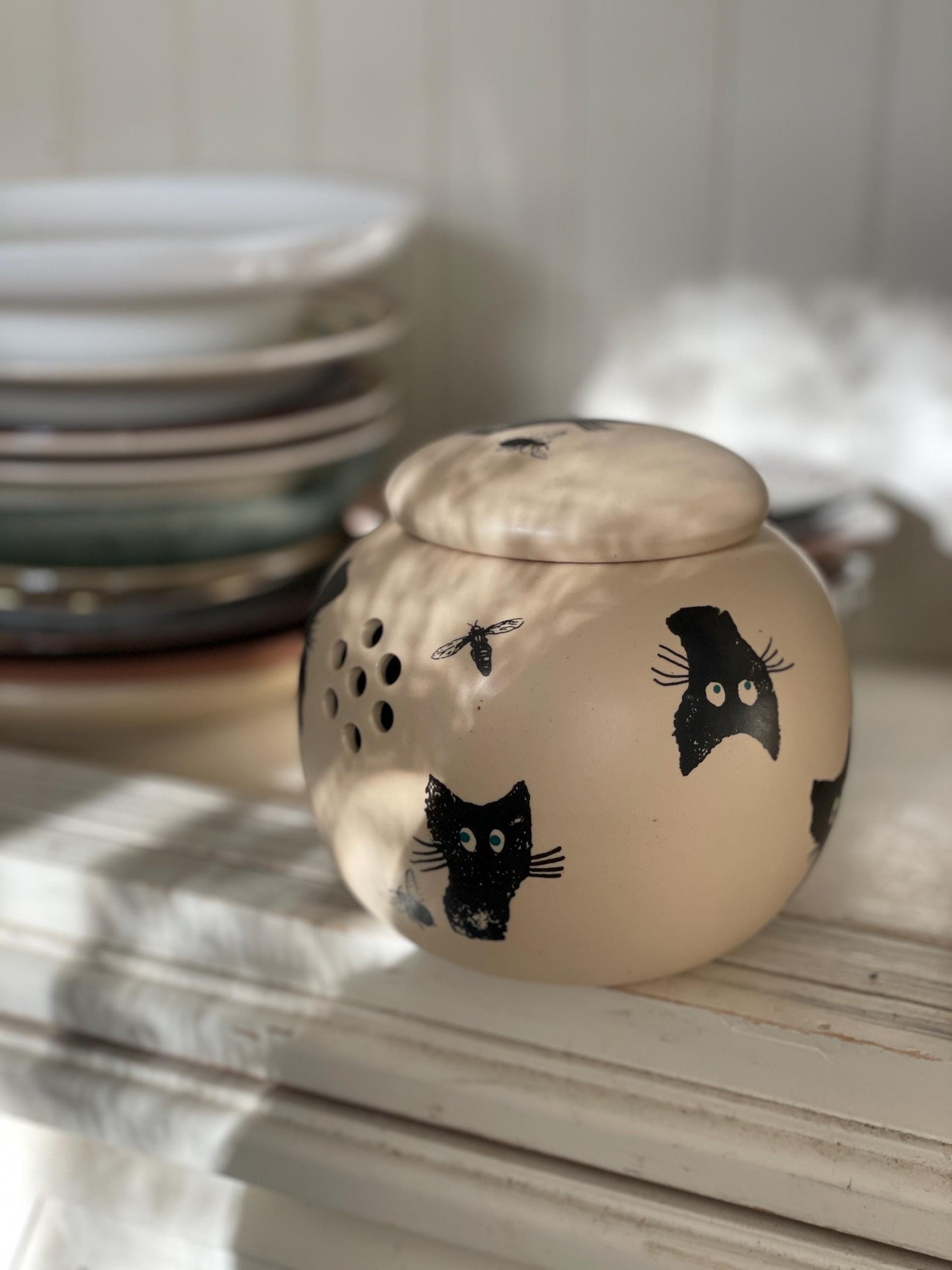 Ķiploku pods — saglabājiet ķiplokus svaigus un sausus