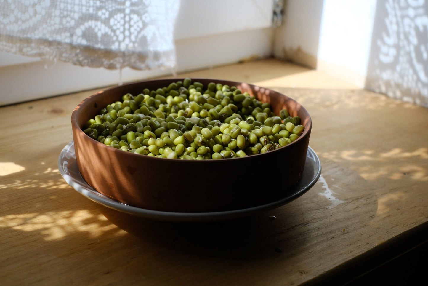 Diedzēšanas trauks