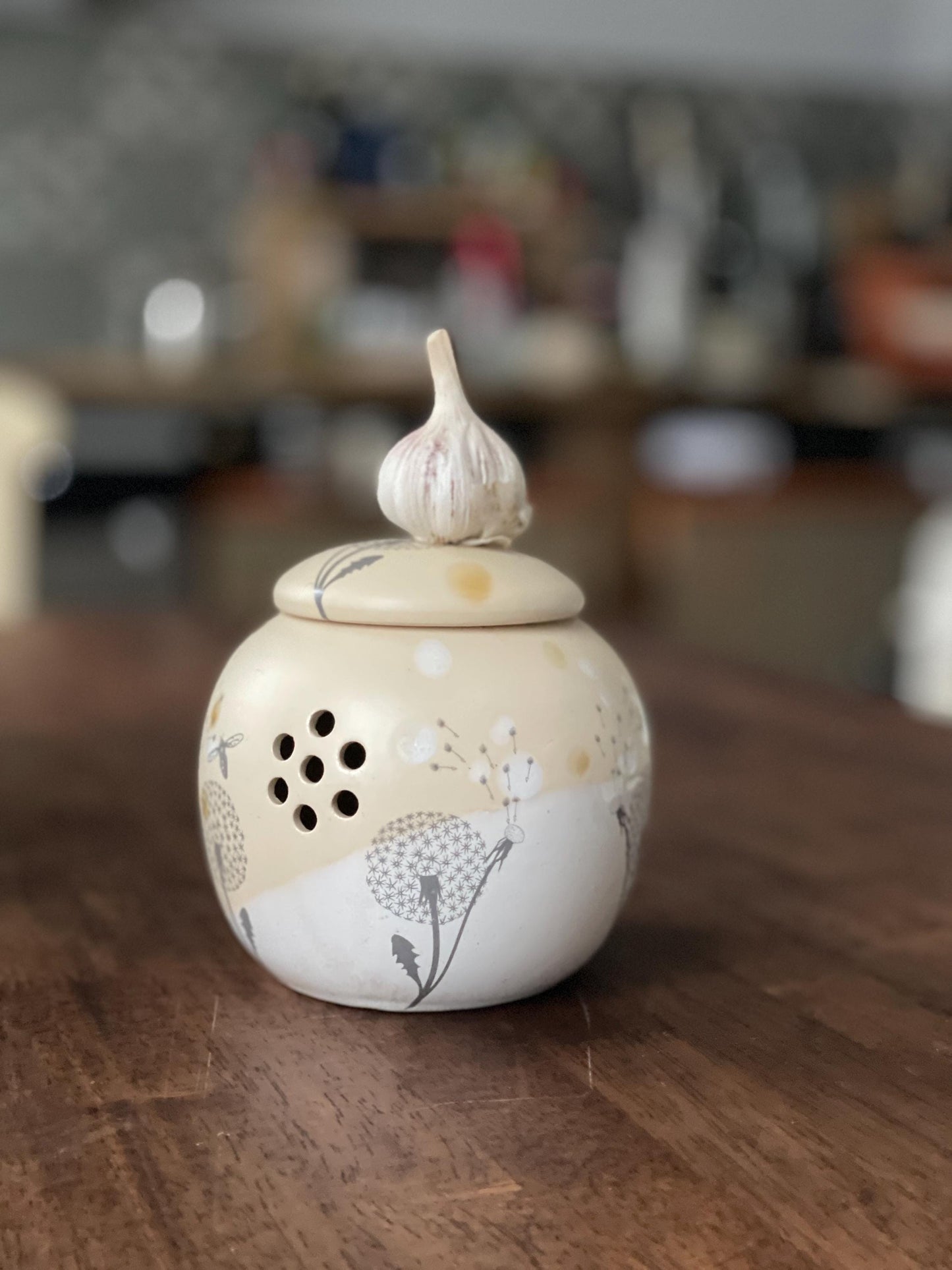 Ķiploku pods — saglabājiet ķiplokus svaigus un sausus