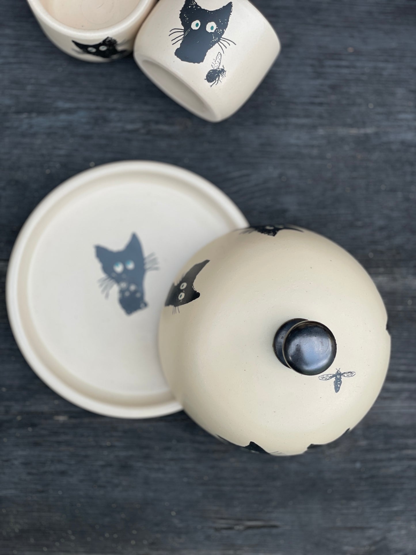 Sviesta trauks ar melniem kaķiem