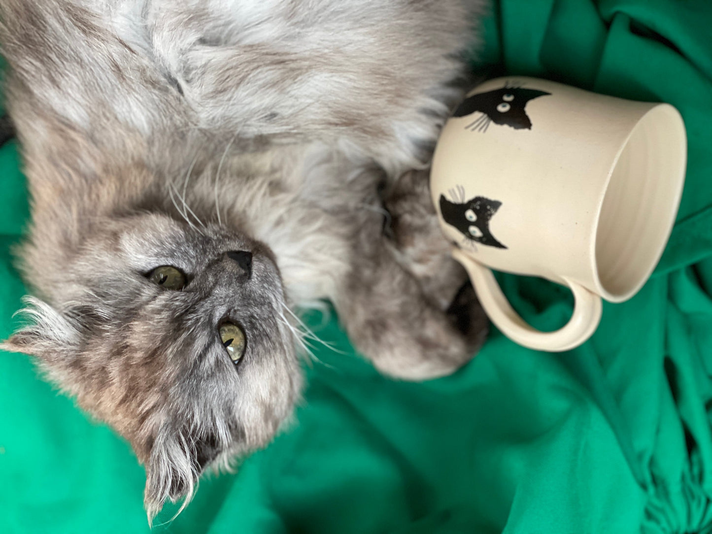 Krūzīte ar kaķiem