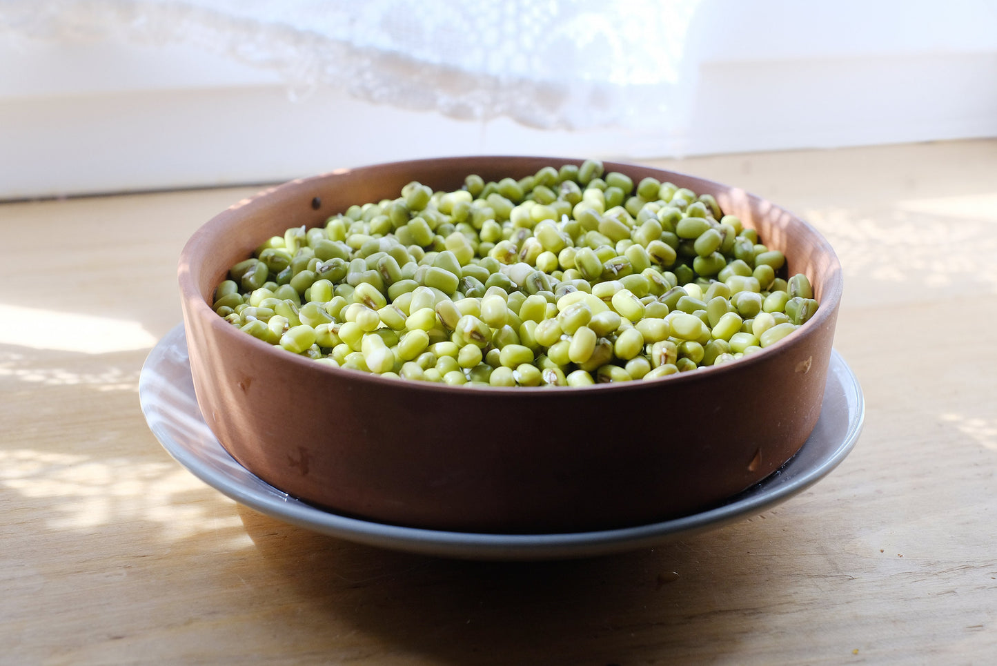 Diedzēšanas trauks