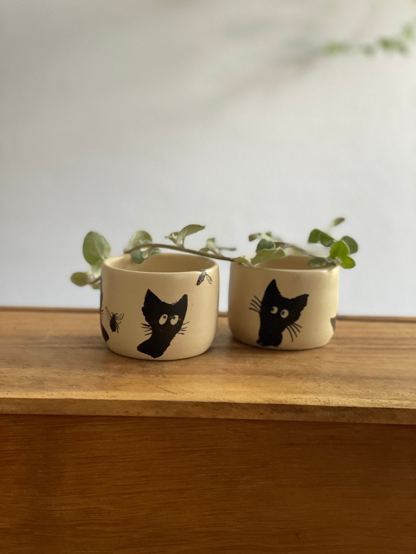 2 trauciņu komplekts. Mazas glāzītes.