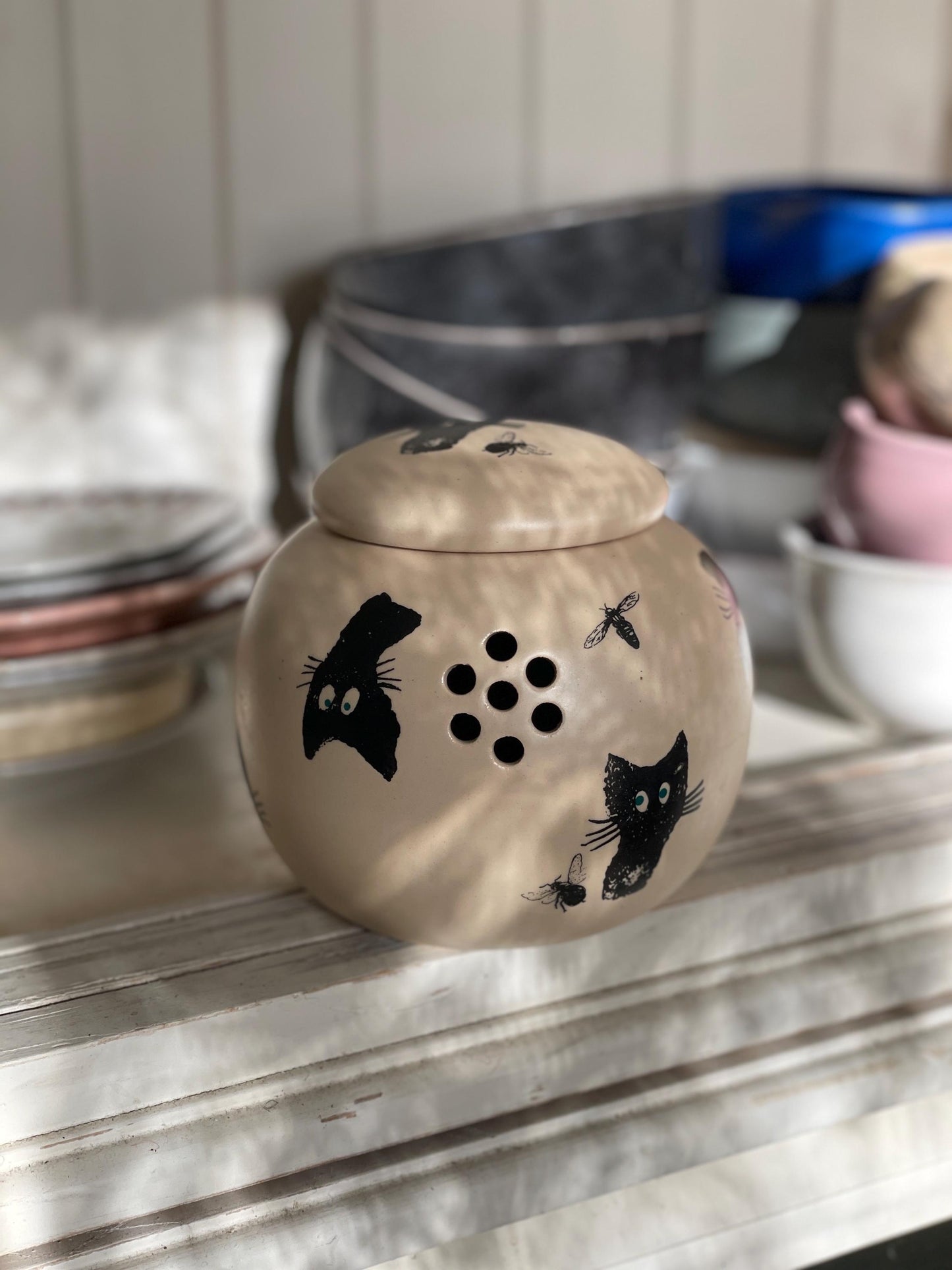 Ķiploku pods — saglabājiet ķiplokus svaigus un sausus