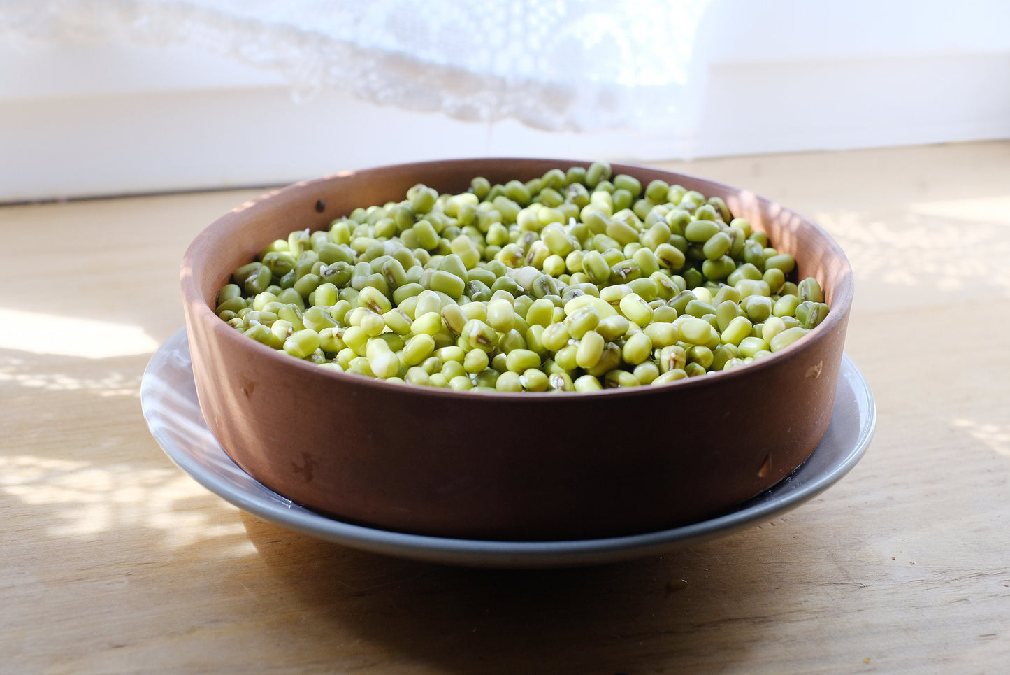 Diedzēšanas trauks