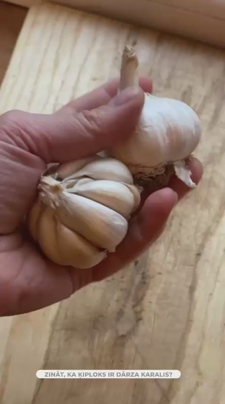 Ķiploku rīve, karotes paliktnis